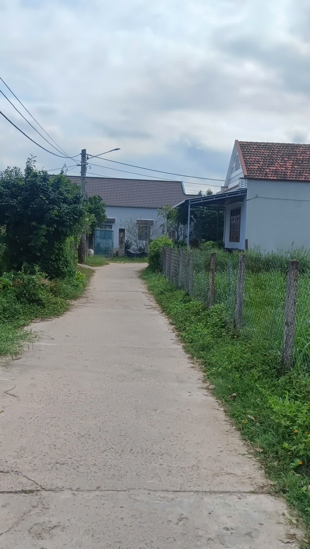 ✨ BÁN LÔ ĐẤT ĐẸP NỞ HẬU NHẸ – GIÁ TỐT TẠI NAM TƯỢNG 3, AN NHƠN TÂY, GIA LAI ✨ ✨ BÁN LÔ ĐẤT ĐẸP NỞ HẬU NHẸ – GIÁ TỐT TẠI NAM TƯỢNG 3, AN NHƠN TÂY, GIA LAI ✨