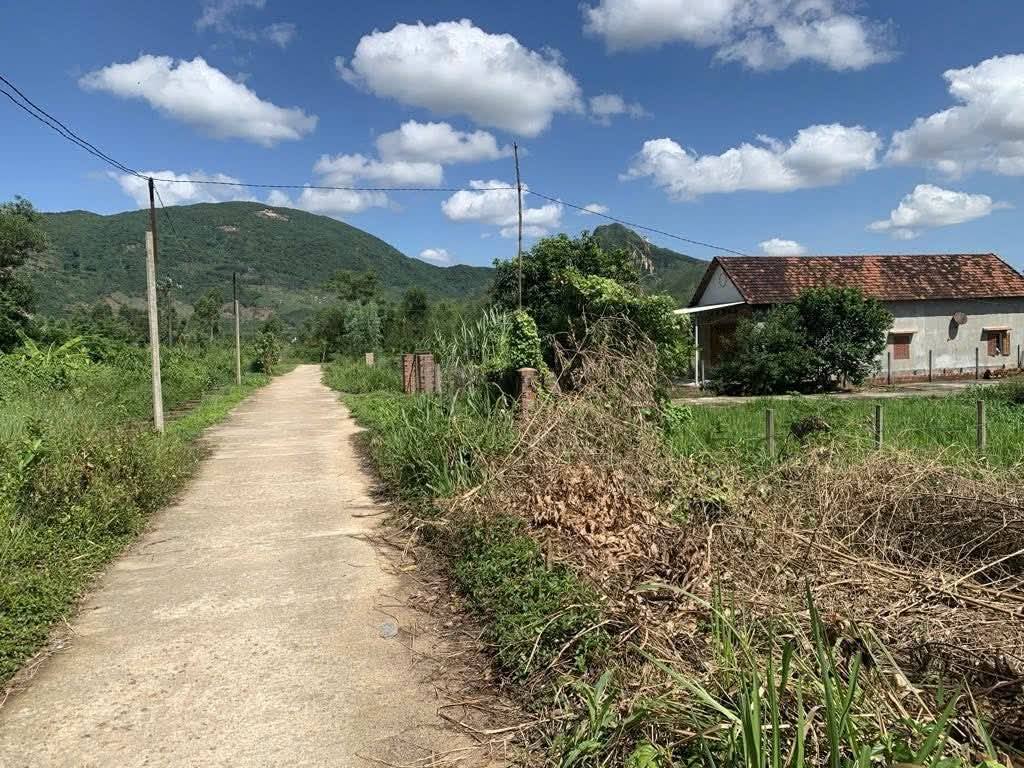 BÁN LÔ ĐẤT VƯỜN GẦN 1000M2 ( THỔ CƯ 100M2) TẠI NHƠN TÂN, AN NHƠN BÁN LÔ ĐẤT VƯỜN GẦN 1000M2 ( THỔ CƯ 100M2) TẠI NHƠN TÂN, AN NHƠN