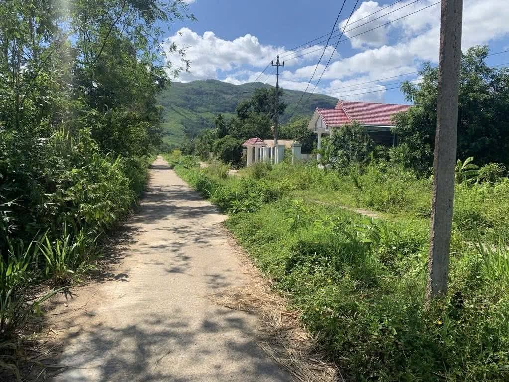 BÁN LÔ ĐẤT VƯỜN GẦN 1000M2 ( THỔ CƯ 100M2) TẠI NHƠN TÂN, AN NHƠN BÁN LÔ ĐẤT VƯỜN GẦN 1000M2 ( THỔ CƯ 100M2) TẠI NHƠN TÂN, AN NHƠN