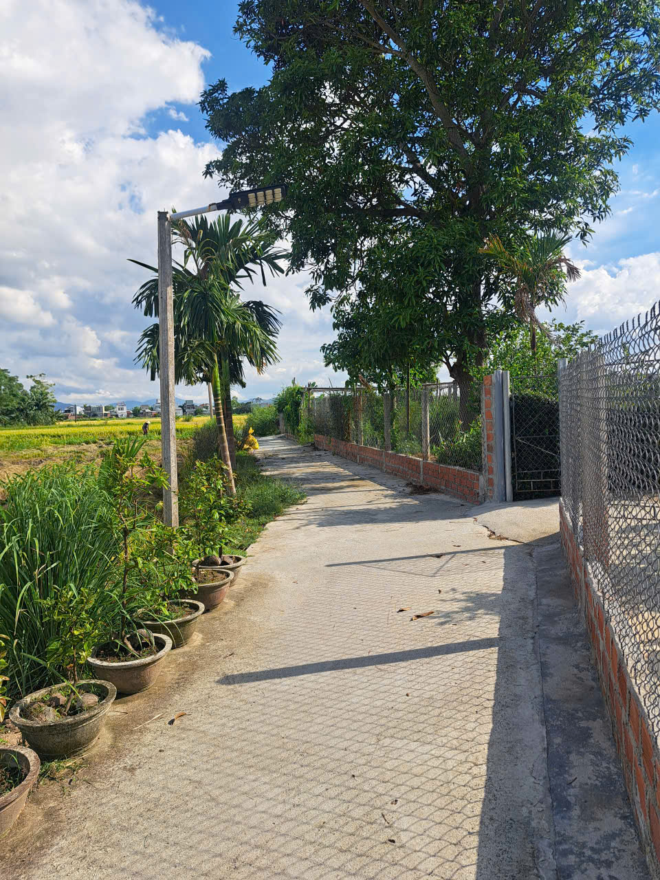 CHÍNH CHỦ CẦN BÁN LÔ GÓC 2 MẶT VIEW CÁNH ĐỒNG LÚA TẠI LƯƠNG LỘC, PHƯỚC HƯNG CHÍNH CHỦ CẦN BÁN LÔ GÓC 2 MẶT VIEW CÁNH ĐỒNG LÚA TẠI LƯƠNG LỘC, PHƯỚC HƯNG