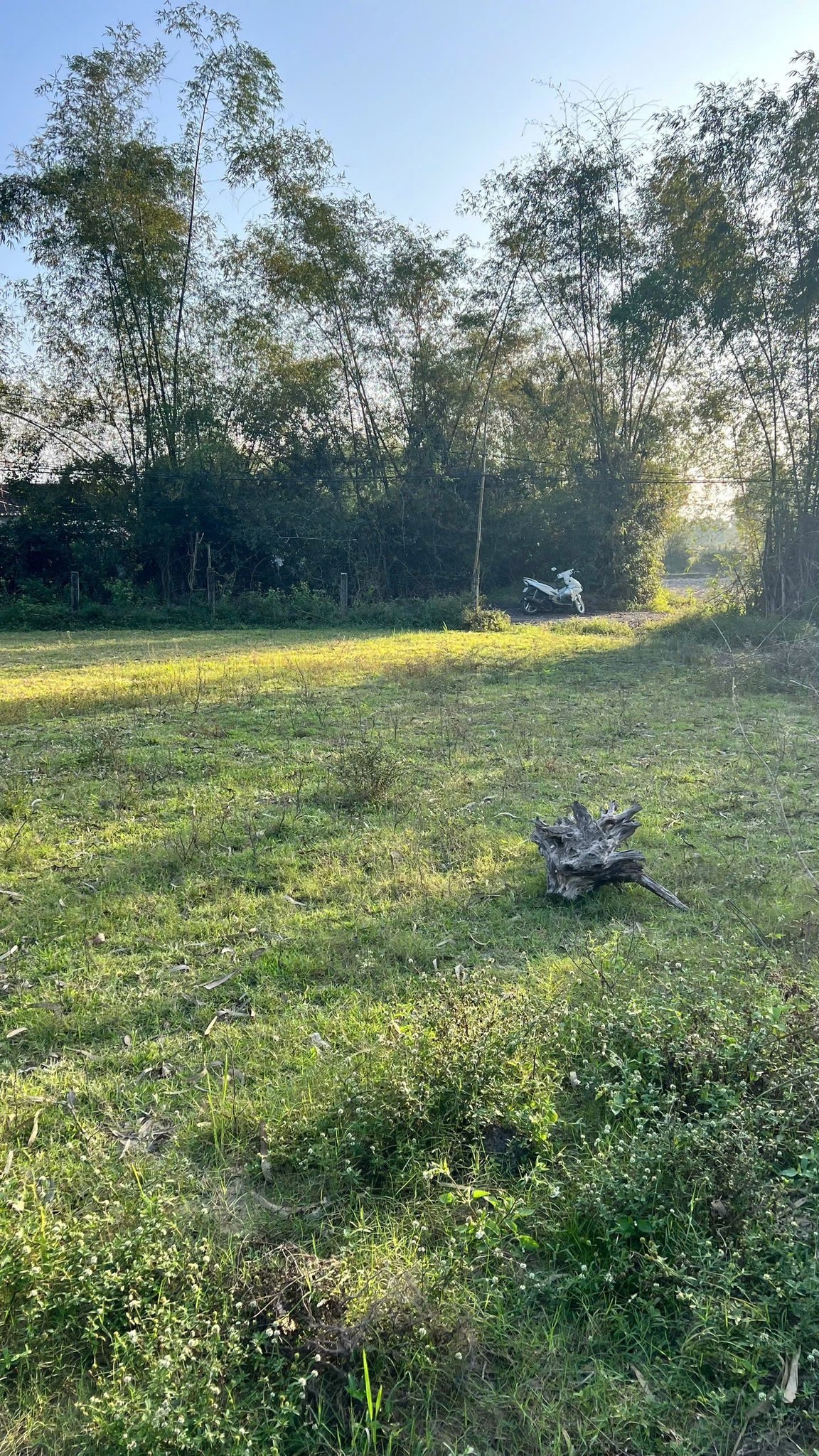 🔰🔰🔰Cần bán cắt lỗ đất 183M2 chính chủ tại Ngô Mây – Phù Cát 🔰🔰🔰Cần bán cắt lỗ đất 183M2 chính chủ tại Ngô Mây – Phù Cát