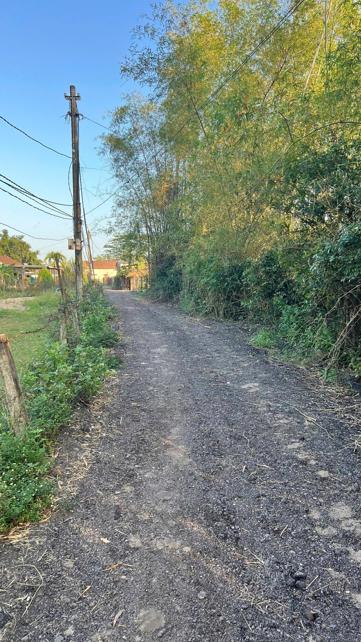 🔰🔰🔰Cần bán cắt lỗ đất 183M2 chính chủ tại Ngô Mây – Phù Cát 🔰🔰🔰Cần bán cắt lỗ đất 183M2 chính chủ tại Ngô Mây – Phù Cát